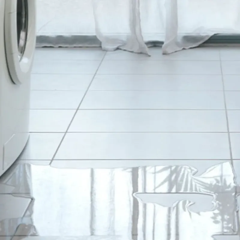 Appliance Leak Cleanup in Lowesville, NC
