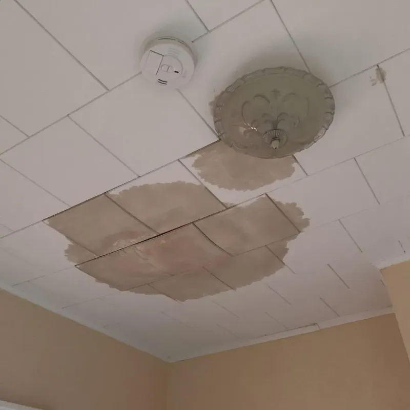 Ceiling Water Damage Repair in Lowesville, NC