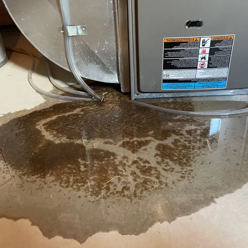 Pipe Burst and Leak Restoration in Lowesville, NC