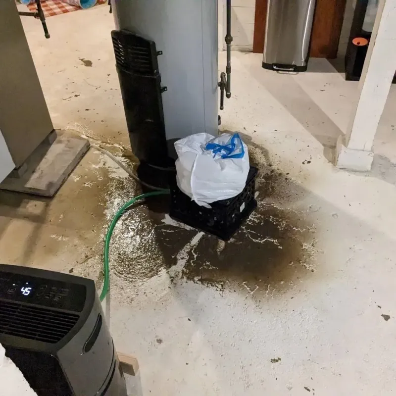 Sewage Backup Cleanup Service in Lowesville, NC
